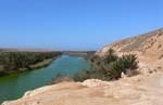 The steppes around the Oued Massa are favoured feeding areas.