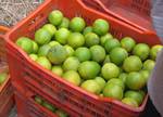 Organic sweet lime fruits in a vegetable and fruit market displays for sales - organic food - healthy food