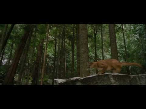 THE TWILIGHT SAGA: BREAKING DAWN - PART 2 - Theatrical Trailer