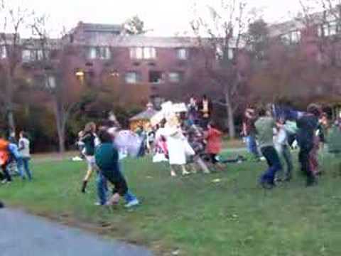 Crazy Pillowfight at Hampshire College