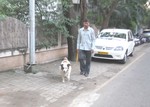 A pet dog and man - a man with his pet - animal