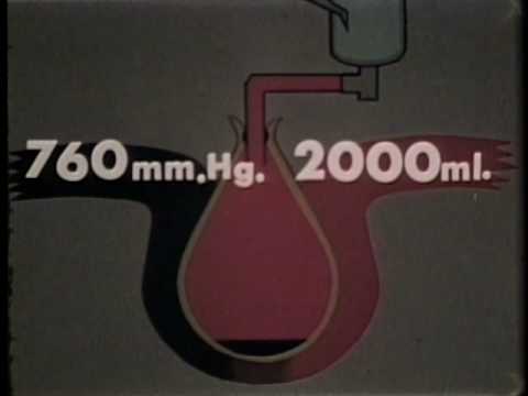 BUFFERING OF CARBON DIOXIDE DURING HYPERCAPNIA