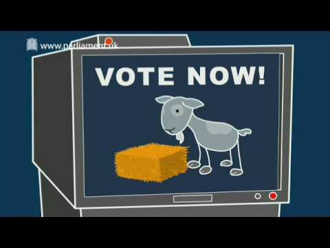 Voting: What are elections? (part 1 of 2)