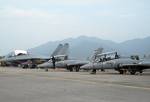 The RMAF MiG-29N/UB & Aermacchi MB-339