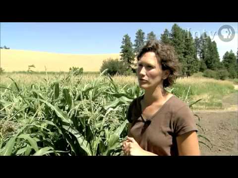 Idaho Farmer Finds Success with Agri-tourism