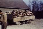 An American soldier stands near a wagon loaded with corpses outside the crematorium of the Buchenwald concentration camp, Germany, following its liberation.(Is the identity of this American soldier known?