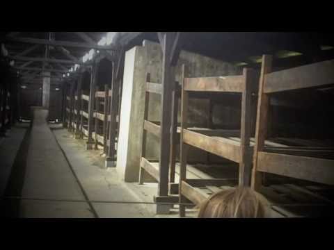 Auschwitz - Nazi German Concentration Camp