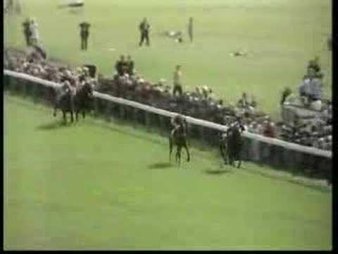 Roberto beats Brigadier Gerard at York