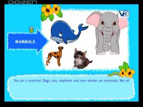 Facts about mammals