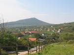 Grape plantations near Villány, in Southern Hungary. In the background, you can observe the mountain named 