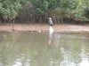 A woman searches for oysters  