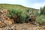 U.S. Army Spc. Cory Bell, from Mills River, N.C., serving with 1st Platoon, Blackfoot Company, 1st Battalion (Airborne), 501st Infantry Regiment, Task Force Blue Geronimo, provides security during a patrol in Taghawarq village, Khost province, Afghanistan, April 14, 2012. U.S. soldiers and counterparts of the Afghan Border Police searched the village for a reported weapons cache in order to deny insurgents freedom of movement.