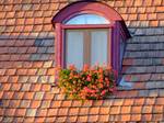 Window Eger, Hungary, 2008. A flower box (sometimes called a window box, window flower box, or window box planter) is a planter box that is usually placed outdoors and used for displaying live plants and flowers, but it may also be used for growing herbs or other edible plants.