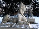 One of three sphinxes positioned at the rear of Chiswick Villa symbolically protecting the 'Temple' from the uninitiated.