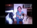 Natural Dog Food Diet- Canidae