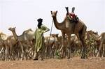 a nomad from the Tuareg tribe of the Sahara Desert brings his herd for vaccination to a team of U.S. Special Forces in the Sahara Desert handing out aid near the town of Gao in northeastern Mali. With almost no resistance, al-Qaida in the Islamic Maghreb, or AQIM, is implanting itself in Africa's soft tissue, choosing as its host Mali, one of the poorest nations on earth. Although AQIM's leaders are Algerian, it recruits people from Mali, including 60 to 80 Tuareg fighters, the olive-skinned nom