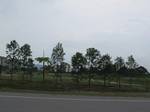 Different kind of trees were grown along the roadside to reduce pollution level as trees produce oxygen and uses carbon dioxide which causes thinning of ozone layer.