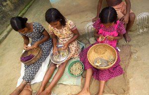 Group of  Girls making "Beri" ( Cigarettes Local Language in Bengal ) during the excursion for the children in observance of World Day Against Child Labour at Kolkata in Eastern India City