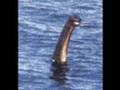 Is it real : The Loch ness monster