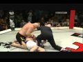 MMA - The Knockouts of 2009 - Vol.1