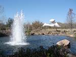 Oyster Creek Park. An amendment on May 5, 1990, changed the composition of the city council to a mayor and two council members by at-large position