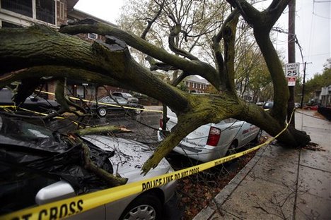 A fallen tree lies on top of a car in south Philadelphia Tuesday Oct. 30, 2012. Millions of people from Maine to the Carolinas awoke Tuesday without power, and an eerily quiet New York City was all but closed off by car, train and air as superstorm Sandy steamed inland.