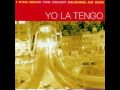 Yo la tengo - autumn sweater