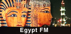 Egypt FM