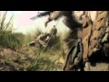 COMBAT FOOTAGE OF US MARINES FIGHTING IN AFGHANISTAN- HELMAND PROVINCE