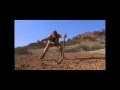 Steve Irwin Plays With Inland Taipan (Fierce Snake)