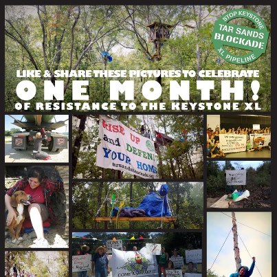 Photo: Day 31:

Today is the one month anniversary of the Winnsboro Tree Blockade. Some of our incredible friends have been living 80 ft in the sky delaying the Keystone XL pipeline and we couldn't be more proud of them. http://tarsandsblockade.org/onemonth/

Their heroic actions along with those on the ground working on supplies, organizing landowners, and getting the word out have TransCanada worried. To quote their PR guy Dodson:

“We’re concerned about the blockade,” Dodson said. “No question about it...Do you think the protests will keep growing?”

Yes, we will keep growing. Over the past few months we have grown with your support. Check out our blog to see what's been happening and sign up to join us in Texas.  http://tarsandsblockade.org/onemonth/

If you can, please also consider a donation: https://www.wepay.com/donations/tar-sands-blockade_1

Click LIKE, SHARE or leave a COMMENT to celebrate one month on the blockade!