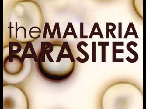 The Malaria Parasites - 52min. documentary