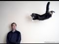 How To Photograph A FLYING CAT