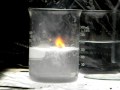 Sodium Reacts with Water