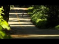 Longboarding - Swirling Samas