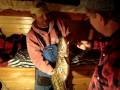 Rainy Lake: RainyDaze Guide Service, Rainy Lake- HUGE EEL POUT!!! www.rainydazeoutdoors.com