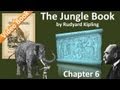 Chapter 06 - The Jungle Book by Rudyard Kipling