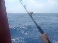 Sri Lanka,ශ්රී ලංකා,fishing trip on a trawler Mahi Mahi (01)