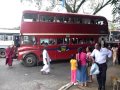 Sri Lanka,ශ්රී ලංකා,Ceylon,Kandy,AEC Routemaster Double-Decker Bus (01)