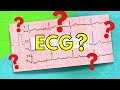 048 How to Read an Electrocardiogram (ECG/EKG)