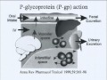 Nutritional Sciences and Toxicology 120 - Lecture 7