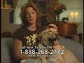 ASPCA announcement w/ Sarah Mclachlan