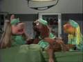 The Muppets - Veterinarian Hospital