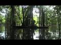 Amazon Jungle-High Definition River Canoe Journey