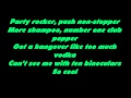 Flo Rida feat SIA Wild Ones Lyrics HD