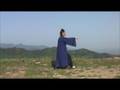 Wudang Tai Chi Kung Fu Zhang San-feng Tai Chi Chuan 13 Form