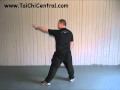 24 Form Tai Chi, Lesson 3, Part the Horse's Mane Left