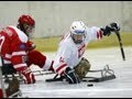 Novi Sad 2012: Austria-Poland Highlights