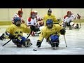 Novi Sad 2012: Sweden-Austria Highlights