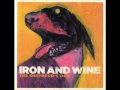 Iron & Wine - Resurrection Fern